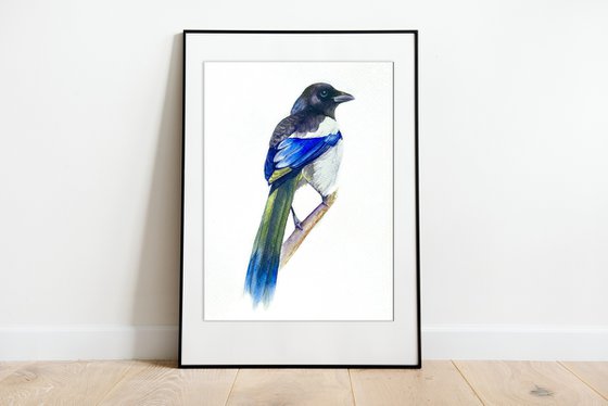 Watercolour bird magpie sitting on a branch in the rays of the sun 4