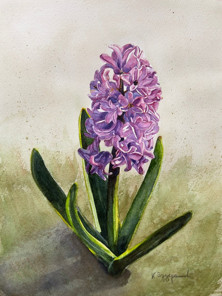 Impressionistic Watercolour , Pink Hyacinth By Krystyna Szczepanowski, 9 X 12, Artwork For Sale On Artfinder