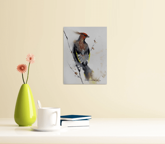 Waxwing bird