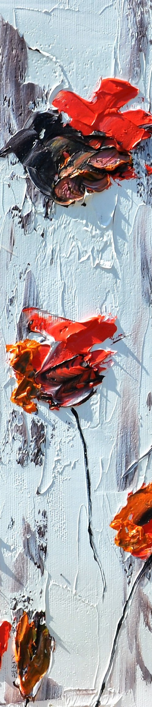 Poppies 3 by Daniel Urbaník