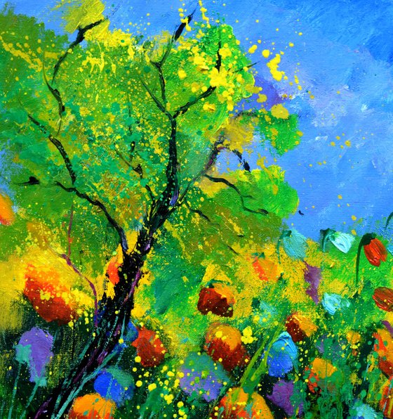 Poppies near my Home