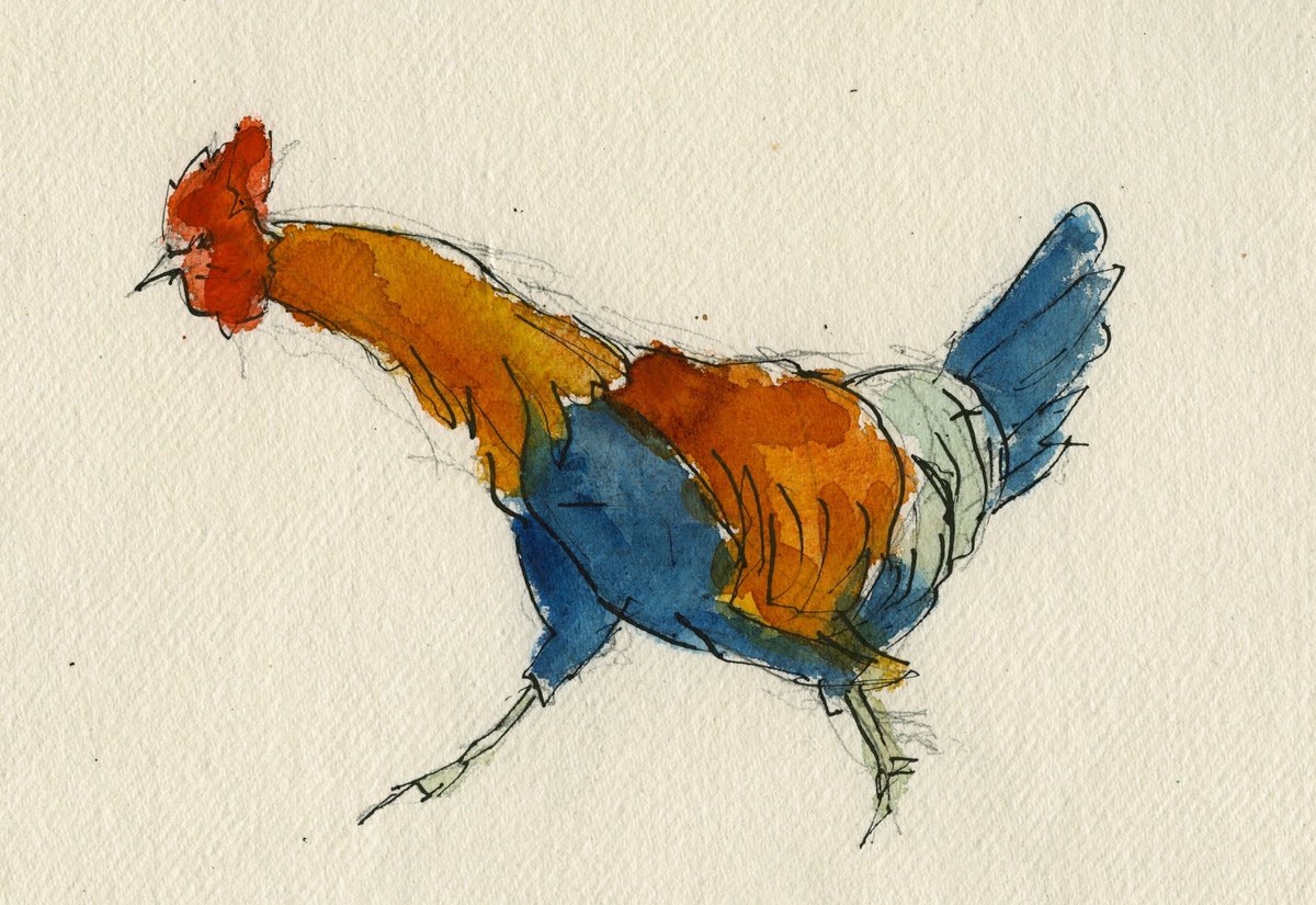 Running rooster sketch by Stuart Roper