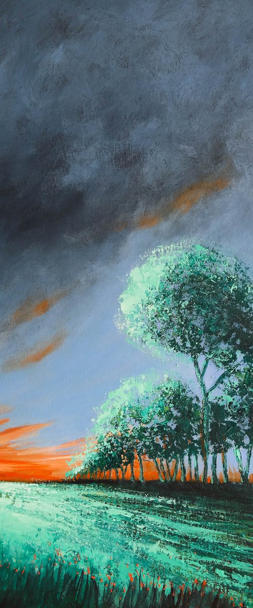 Sunset and the Storm - Fields and Colors Series by Danijela Dan