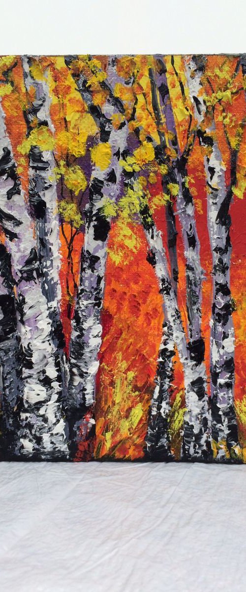 Birch trees by Inna Montano