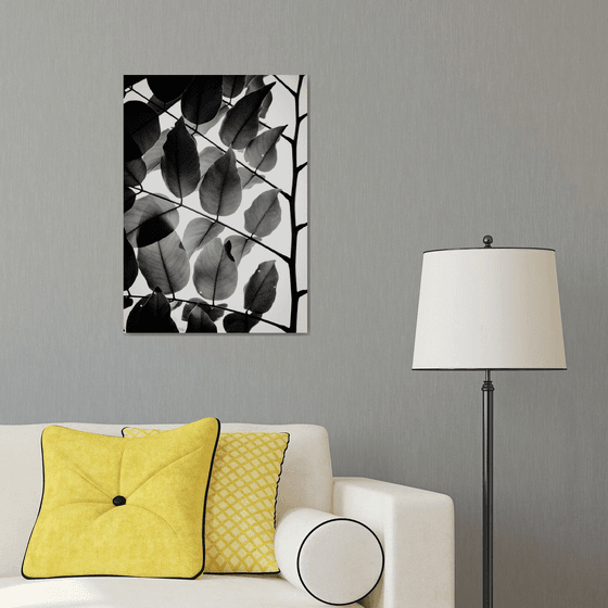 Branches and Leaves II | Limited Edition Fine Art Print 1 of 10 | 40 x 60 cm