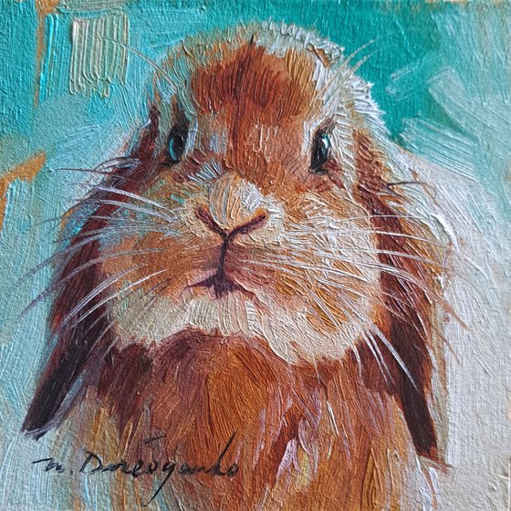 Rabbit portrait