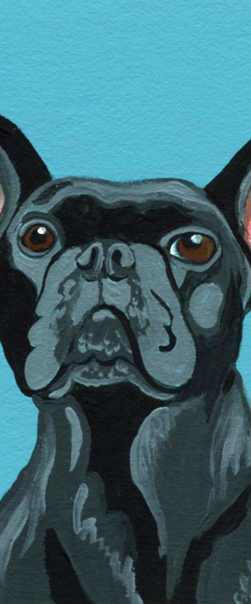 Black French Bulldog by Carla Smale