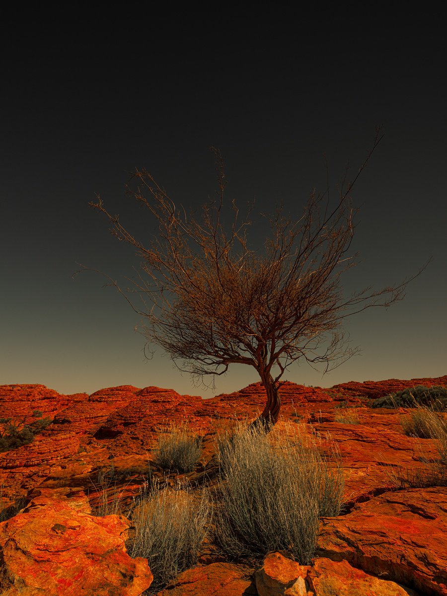 Photorealistic Landscape Photograph By Nick Psomiadis, 35 X 47", Watarrka Wunggurra, Original Artwork