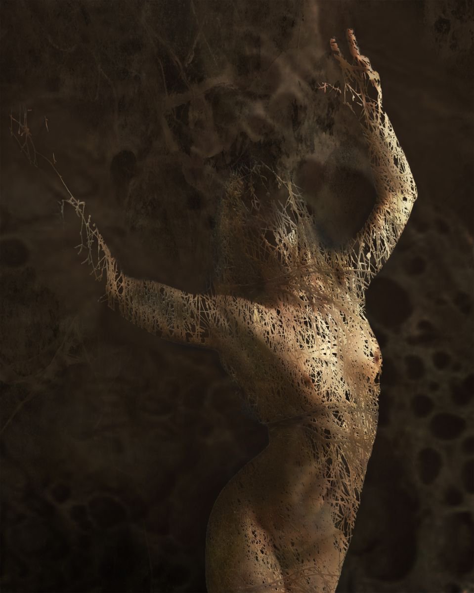 Illustrative Portrait Photograph By Bojan Jevtic, 35 X 43, Play With Me, Original Artwork