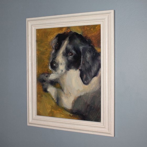 Indie the Spaniel