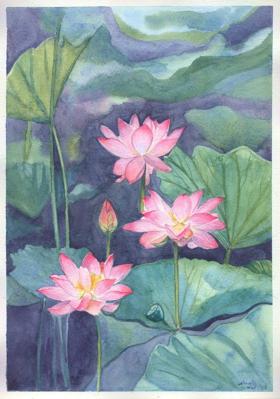 Pink Lotus Flowers