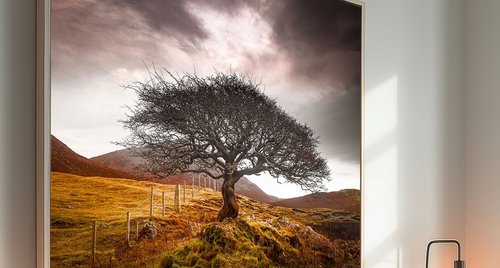 Artwork by Lynne Douglas