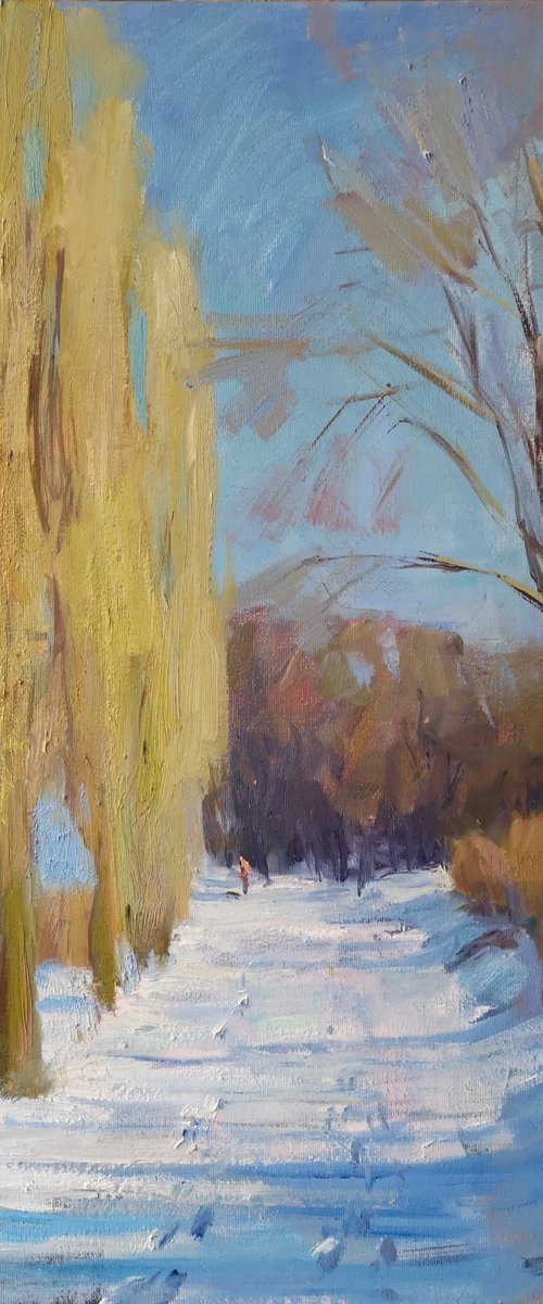 Winter park by Olga Samar