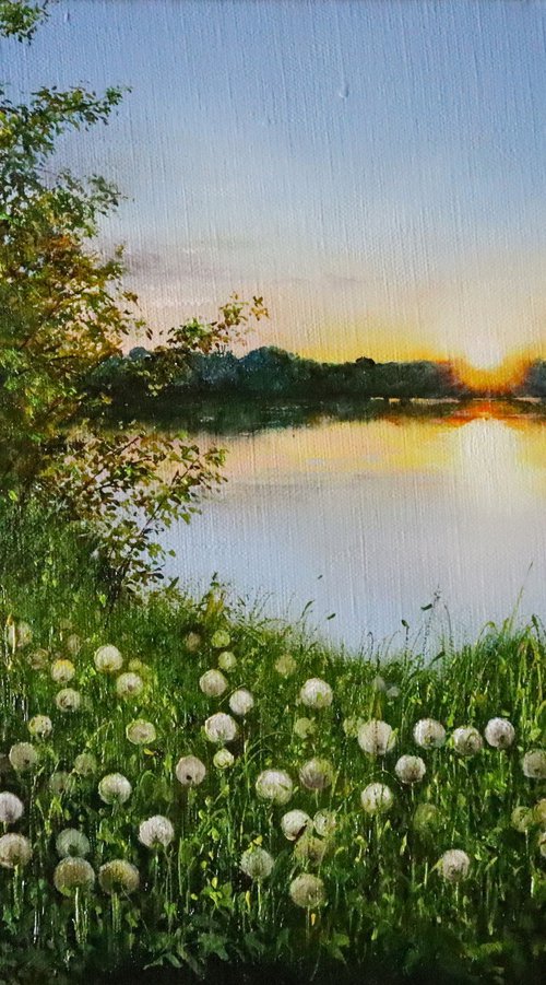 Dandelion Meadow at Sunset by Natalia Shaykina