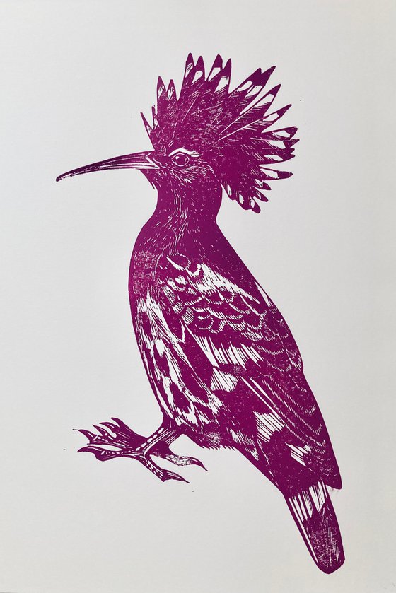Pink Hoopoe Bird Linocut