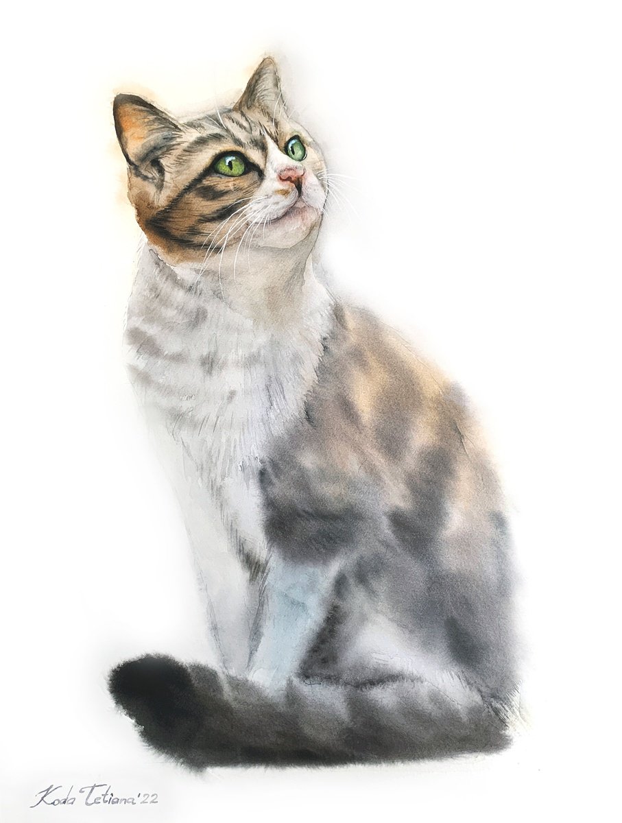 Photorealistic Animal Watercolour By Tetiana Koda, 12 X 16", Cat Portrait, Original Artwork