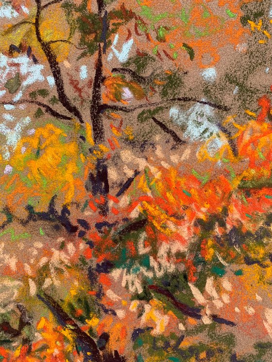 The Autumn Tree