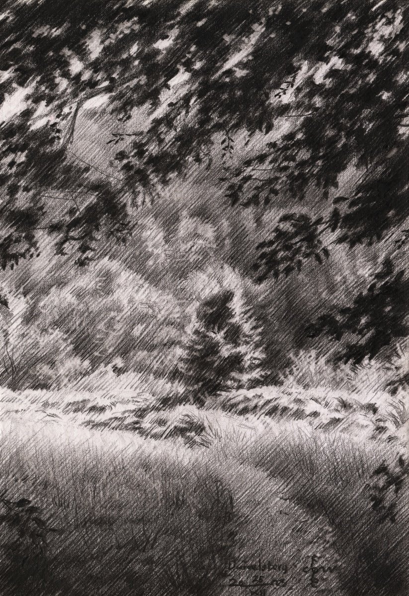 Impressionistic Landscape Pencil Drawing By Corne Akkers, 6 X 8, Duivelsberg - 25-12-23, Original Artwork