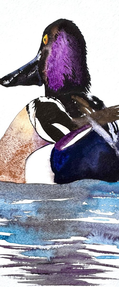 Wild drake Mallard Gadwall by Yuliia Sharapova