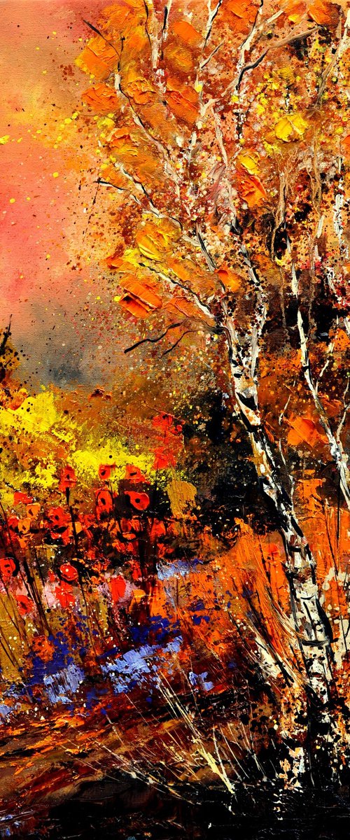 Full autumn colors by Pol Henry Ledent