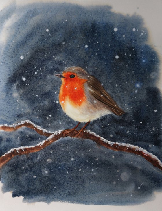 Robin Bird