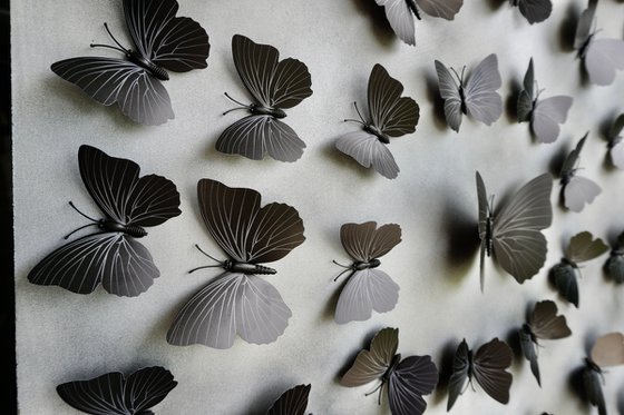 Wall Sculpture Butterfly Park 8