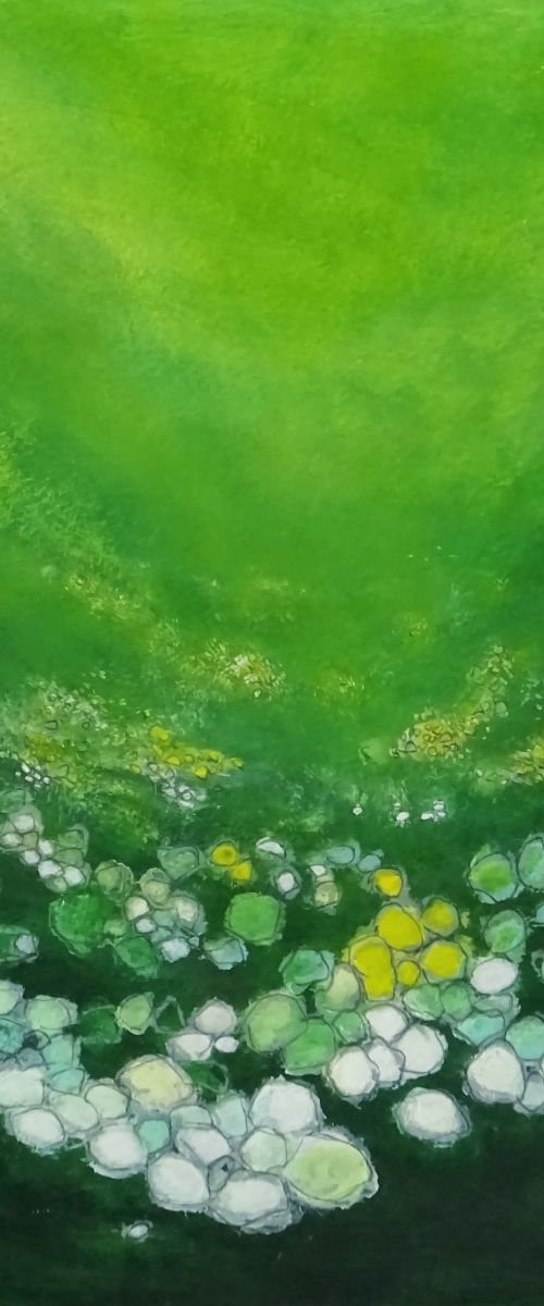 Green by Wioletta Gancarz