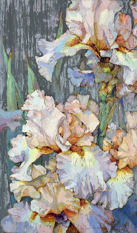 Irises on a gray background.