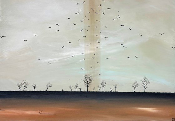 Where Hope Tales Flight