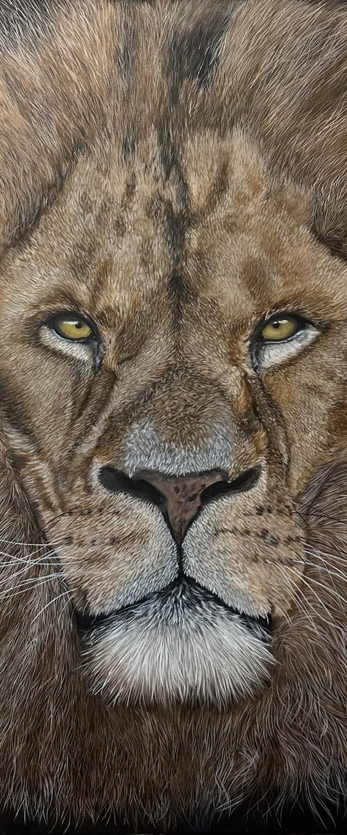The King by Martyna Maik