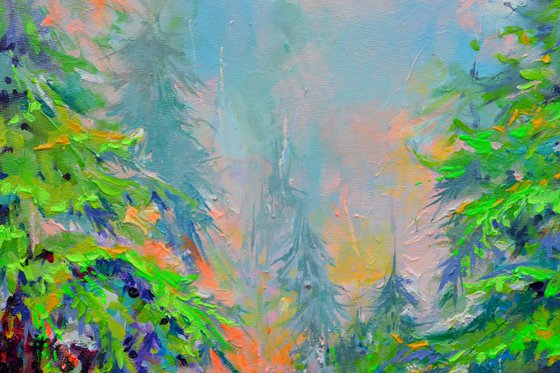Stream in the Fir Forest