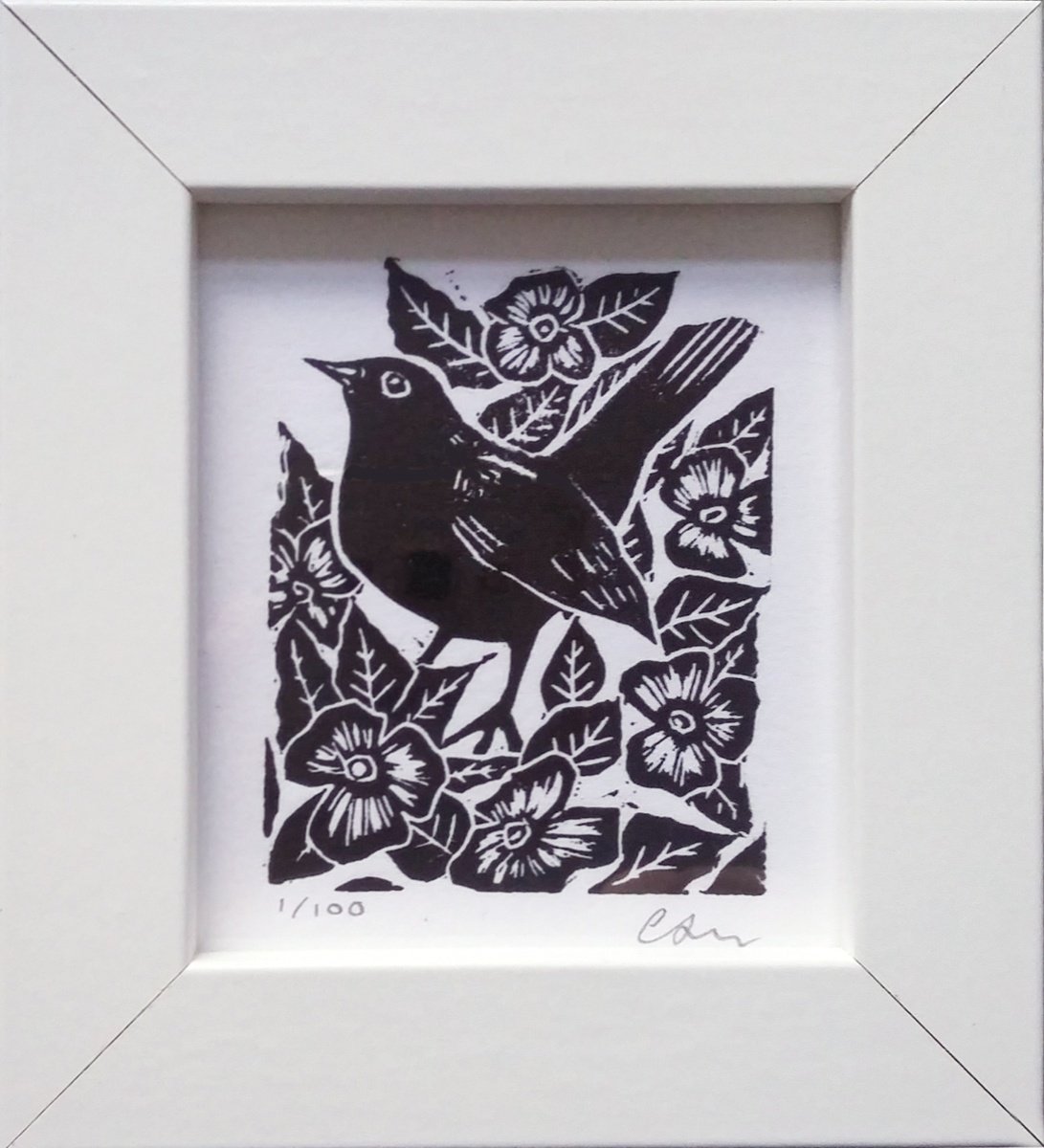 Tiny Blackbird Linocut by Carolynne Coulson | Artfinder