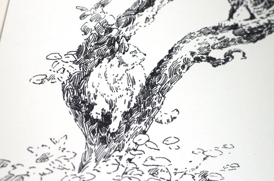 Cats in a tree