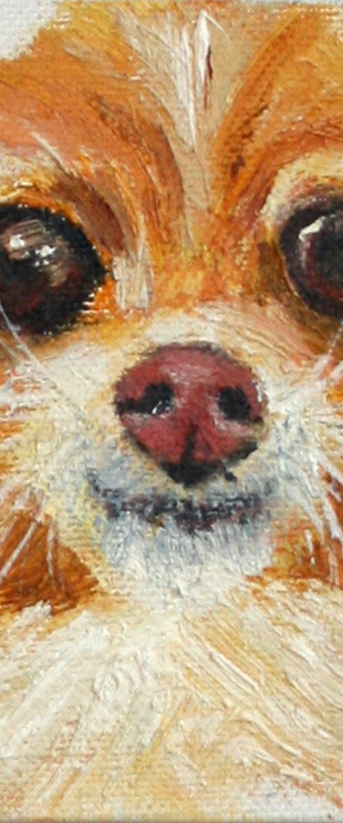 Dog 04.24 /4x4"  / FROM MY A SERIES OF MINI WORKS DOGS/ ORIGINAL PAINTING by Salana Art Gallery