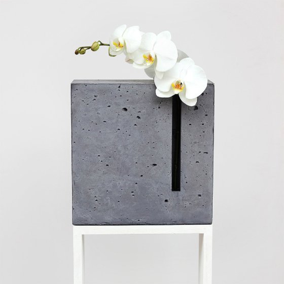 "Color and Shape: Gray+Orchid"
