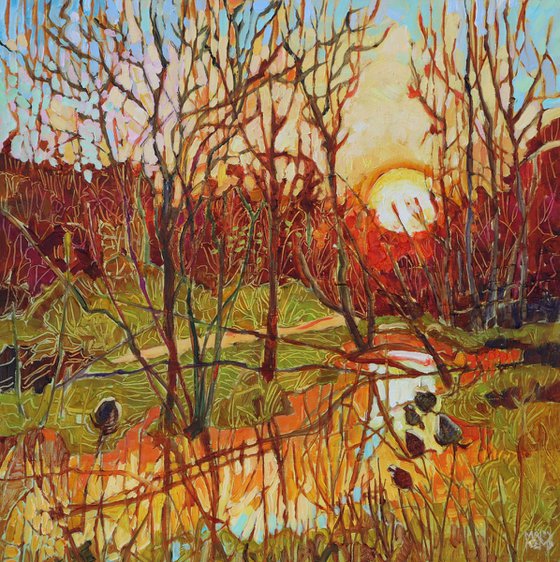 Sun Setting Over Aldi