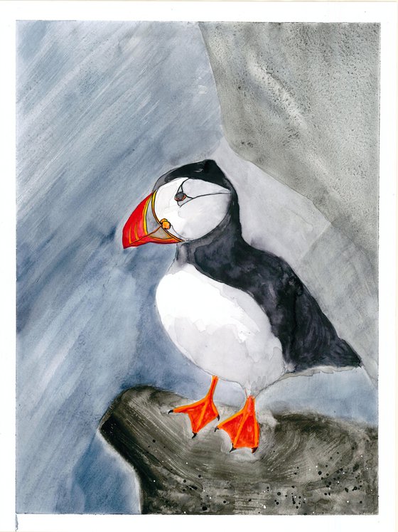 Bird portrait of a puffin  - Gift idea for bird lover