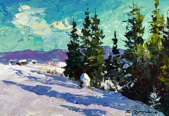 Winter In The Mountains