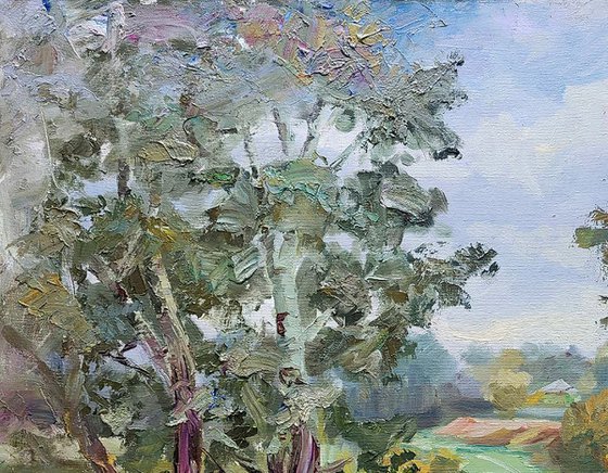 Silver poplars