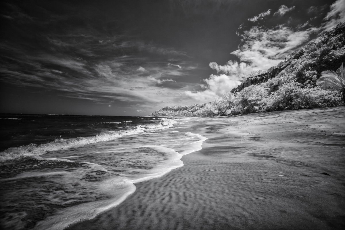 Beach Black & White - Bahia, Brazil by Glauco Meneghelli
