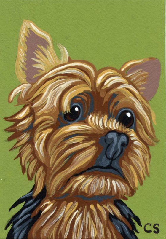 ACEO ATC Original Miniature Painting Yorkie Yorkshire Terrier Pet Dog Art-Carla Smale