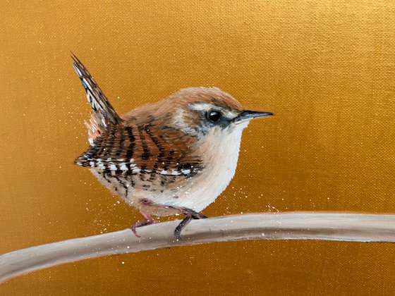 Jenny Wren