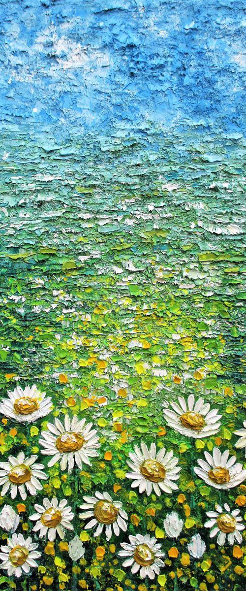 Daisy meadow by Paige Castile