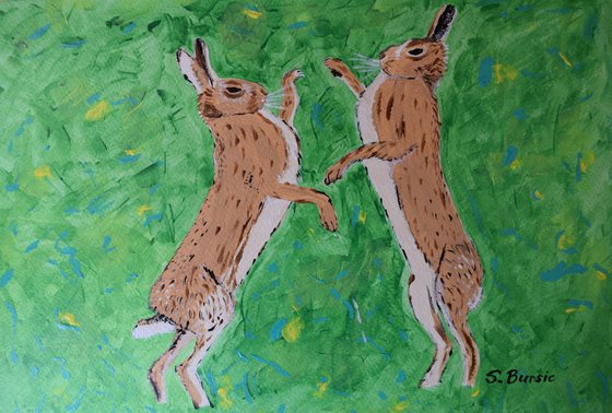 Boxing Hares in Field, countrywide rabbits