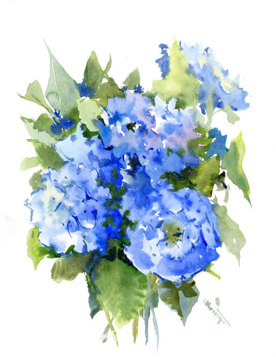 Blue Hydrangea Flowers