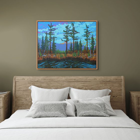 A Day in the Wilderness