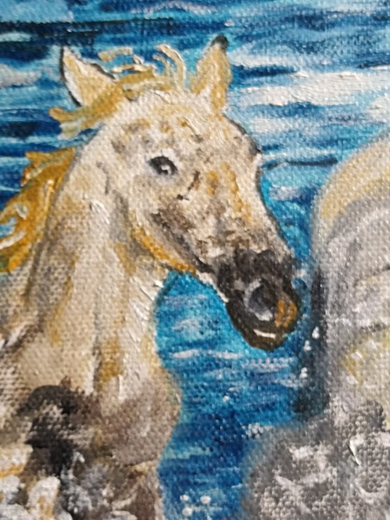 Horses and sea