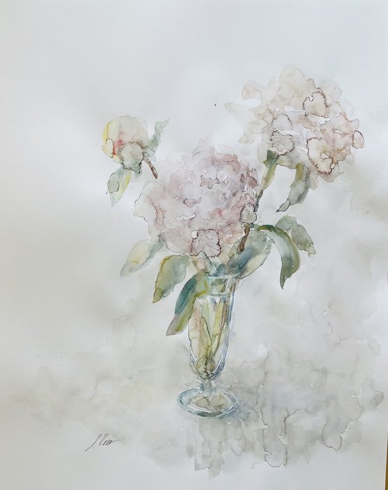 Peonies 50x65 cm 2025