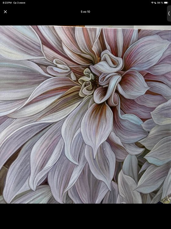 Blush Dahlia Garden