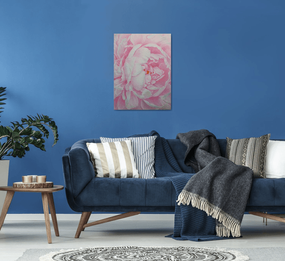 Divine Peony